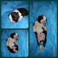 /album/argo/argo-1-fotor-collage-jpg/
